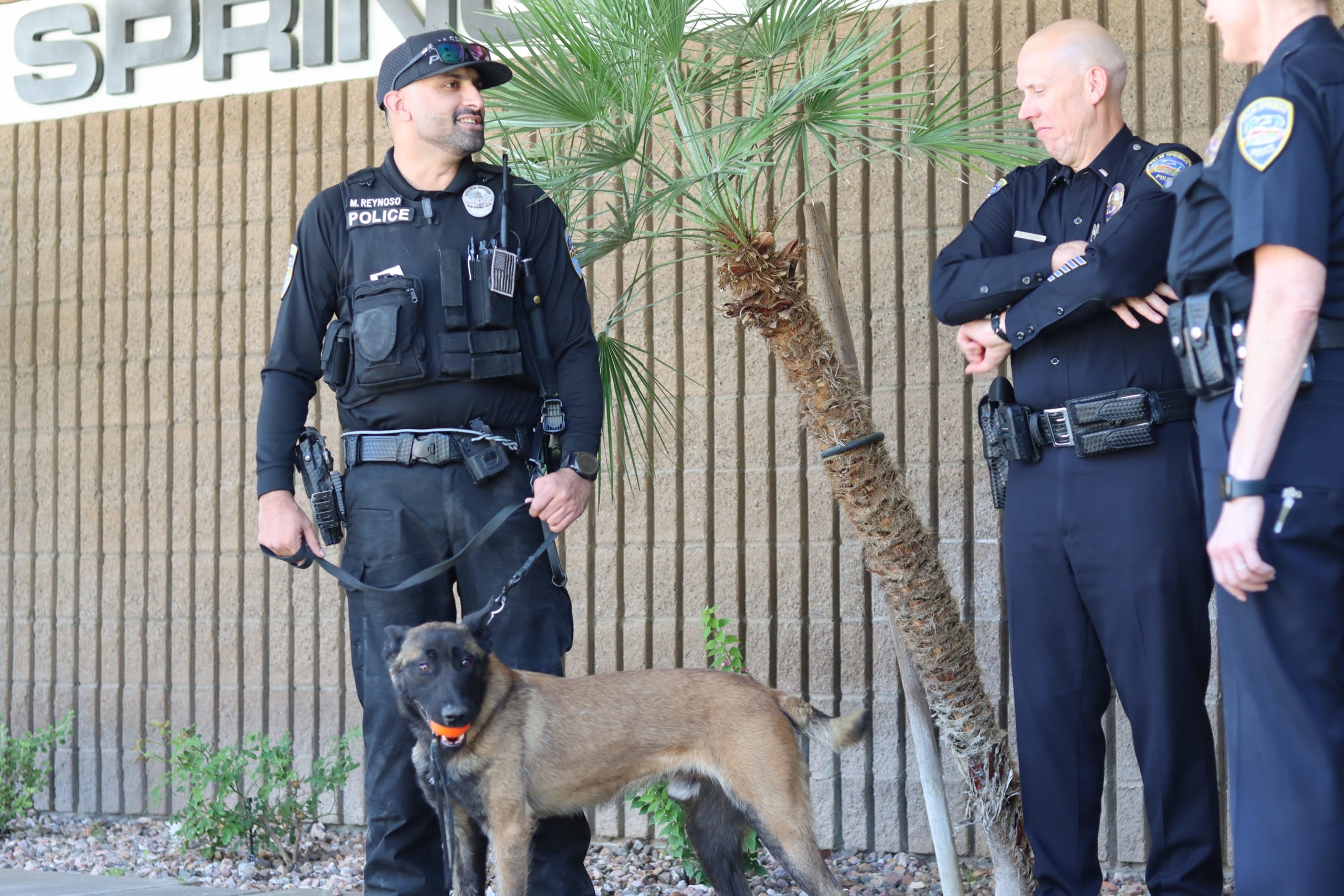 Eisenhower Health gifts Palm Springs police a new partner — a Belgian Malinois named Dwight ⋆ The Palm Springs Post