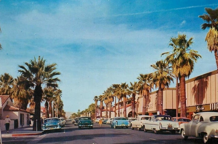 Preservation group seeks historic status for Palm Canyon Drive's palm trees ⋆ The Palm Springs Post